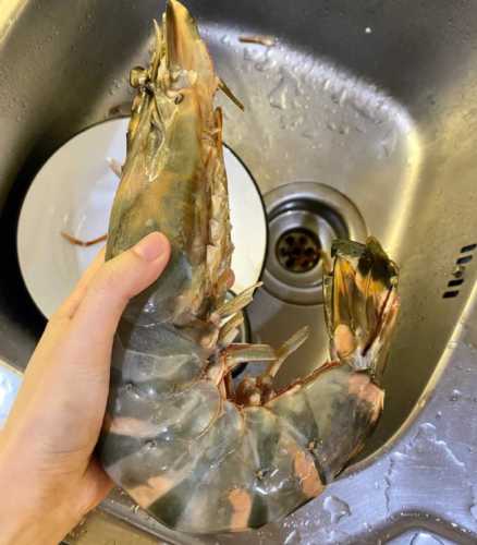 Colossal Black Tiger Prawns photo review