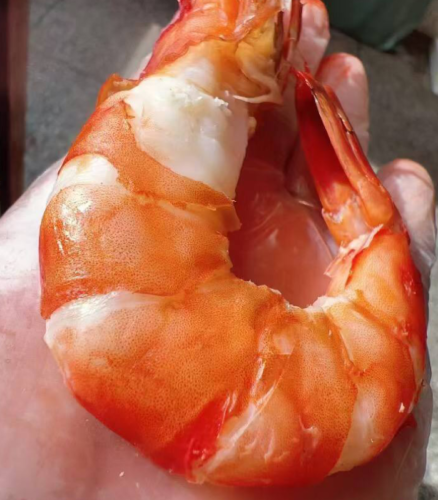 Colossal Black Tiger Prawns photo review