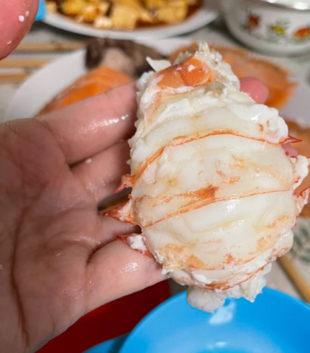 jumbo Mantis Shrimp Live Seafood Shipped with Oxygen Packs photo review