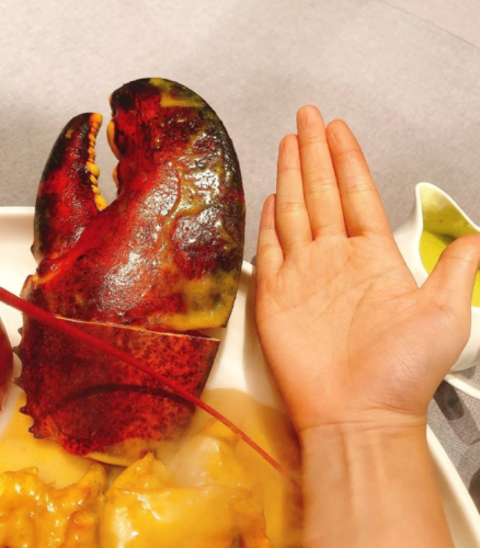 LIMITED EDITION: Giant Deep-Sea Lobster Pincers 🔥 Hurry up! photo review